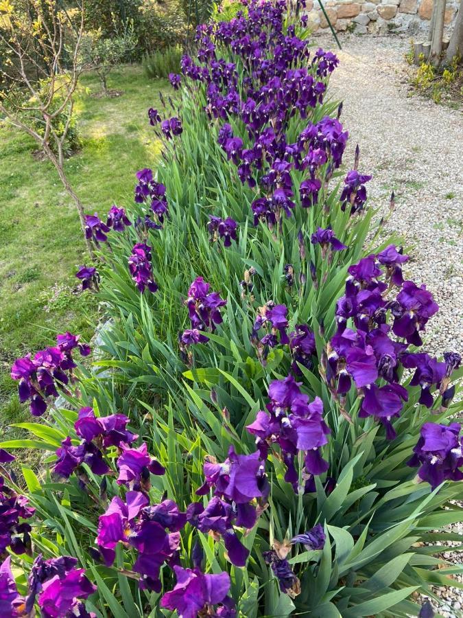 Magagnosc Bastide De La Lauve B&B 외부 사진